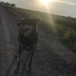 Meet your Posher, Jack